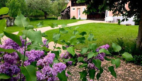 Landhaus am Schloss - Foto 3, Garden