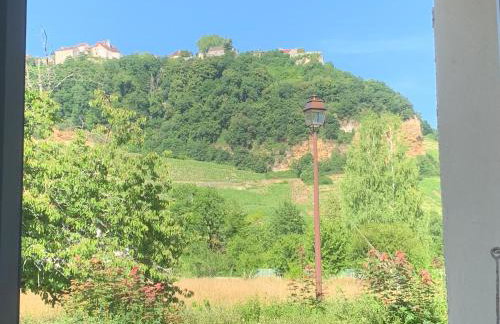 Les magnolias au coeur du vignoble - Foto 19