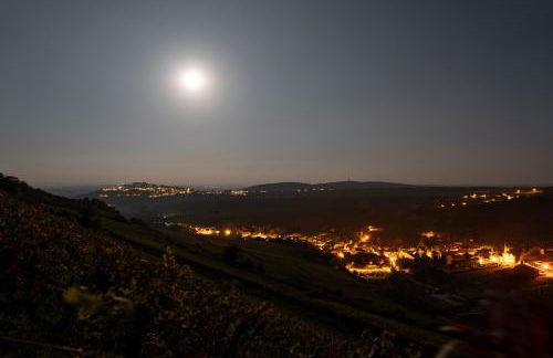 La petite Madeleine de Chavignol - Foto 20