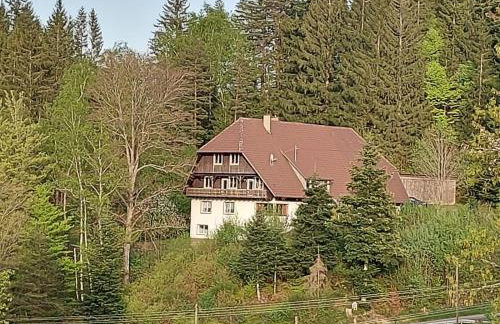 Ferienwohnung Auerhahn - Foto 1