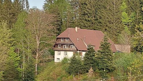 Ferienwohnung Auerhahn - Foto 1