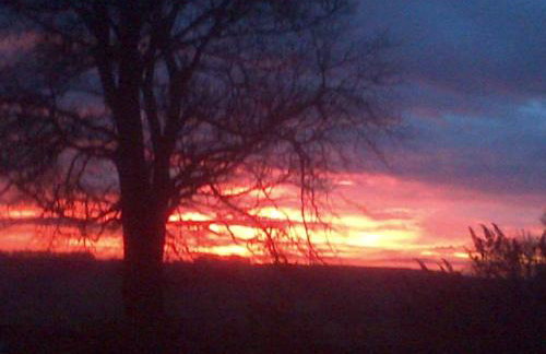 Hamsteels Hall Cottages - Foto 78