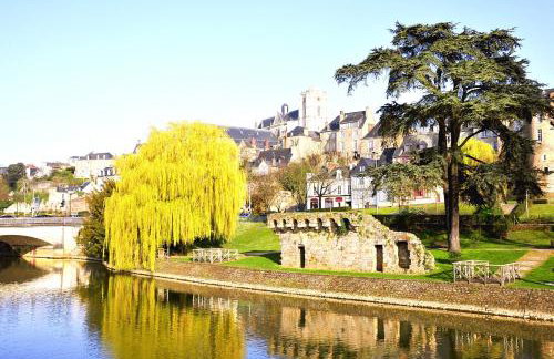 Gîte de la Futaie-Maison de caractère au calme - Photo 23