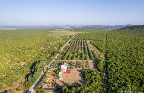 Grandfather's House - Photo 7