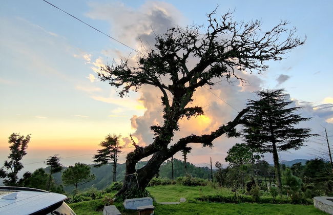 Pre Independence 2 BHK Bungalow,dalhousie,himachal - Photo 10