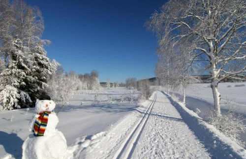 Ferienhaus mit Schwimmbad in Jagersgrun - Foto 55