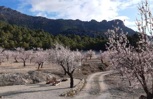 Cortijo Blanco - Foto 37