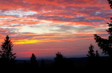 Appartement chaleureux à Soultzeren avec vue sur montagne - Foto 32
