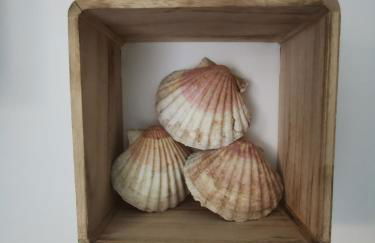 Maison Ô calme - Foto 13