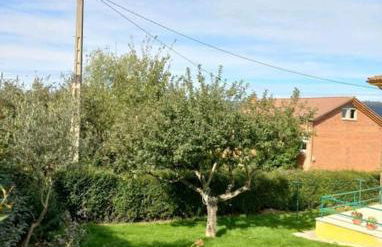 Casa con finca en Oviedo El Casero - Foto 19