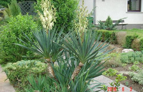 Am Märchenturm - Foto 6