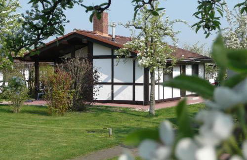Ferienhaus Robinson im Feriendorf Altes Land direkt an der Elbe - Photo 15