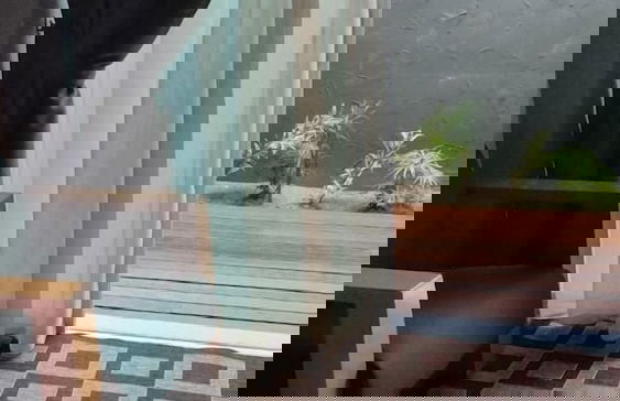 ROYALE RIVIERA RESORT PRIVATE POOL VILLA - Foto 14