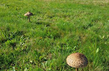 Reset w górach - Foto 38