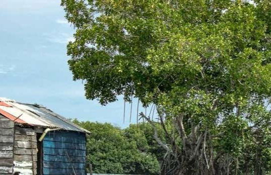 Escursione ai villaggi di palafitte di Ciénaga - Foto 1