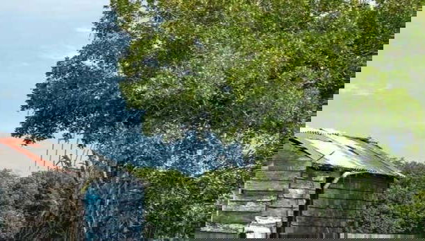 Cienaga Stilt Housing Day Trip