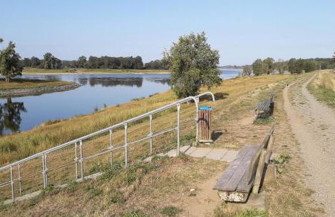 Landhotel Storchenkrug - Foto 10