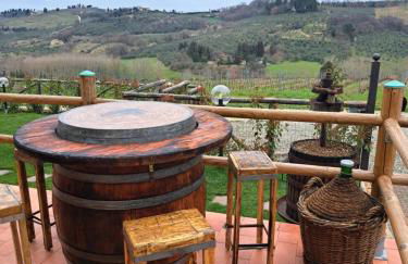 I Vigneti del Chianti - Foto 43