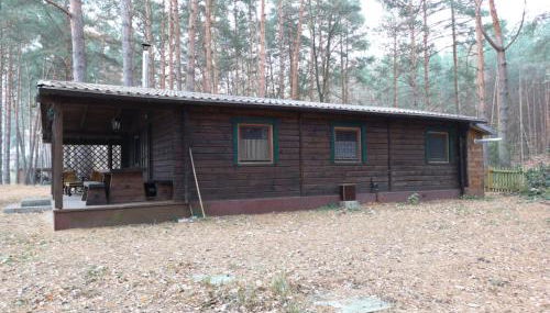 Ferienhaus Waldhütte Ferch - Foto 4