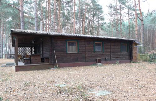 Ferienhaus Waldhütte Ferch - Foto 4