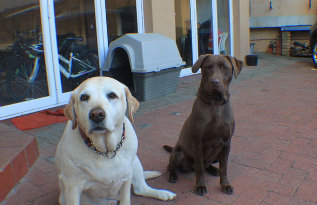 Charming Lodge in City Bowl, Close Enough to the Action but Peaceful and Quiet - Foto 22