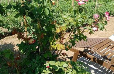 MANOLIS COTTAGE THANOS - Foto 20