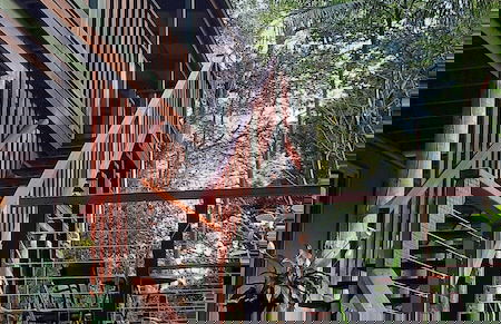 Treetops Accommodation Montville - Photo 45