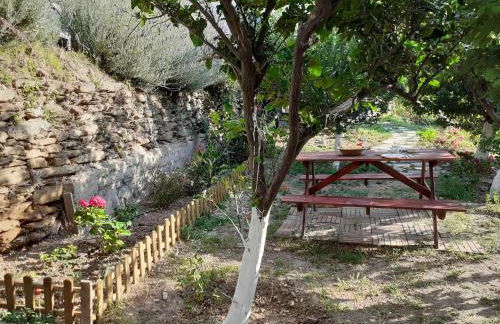 Flower house - Foto 32