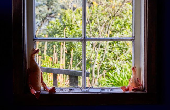 Cubby House Stay - Kaikoura - Foto 37