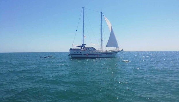 Escursione in barca a vela sul Mar Nero - Foto 2