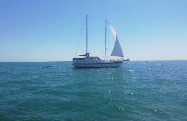 Escursione in barca a vela sul Mar Nero - Foto 2