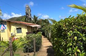 flamboyant House - Foto 1
