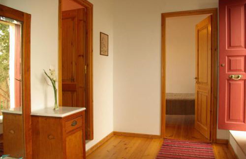 Sior Nikoletos - Photo 10