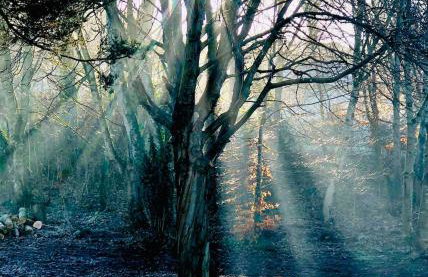 Hilly Haven & Luxury Wagon in the Forest of Dean - Foto 51