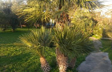 Villa Margherita - Foto 13