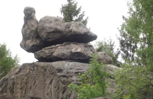 Zum Hecht, FeWo Spitzberg - Foto 56