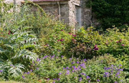 Ty Fry Estate - Foto 55