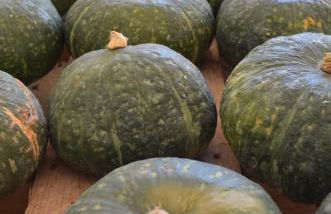 Agriturismo Dondino - Foto 42