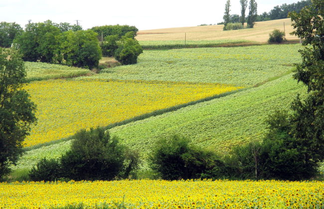 Marquefabe - Foto 17