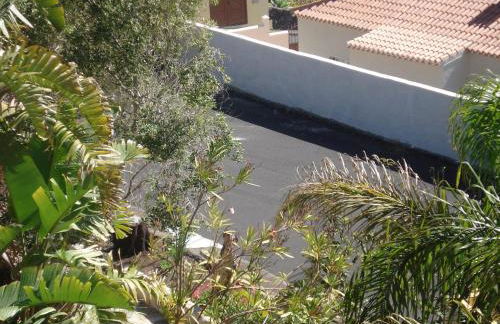 Apartamentos y Bungalows Finca Colón - Foto 51