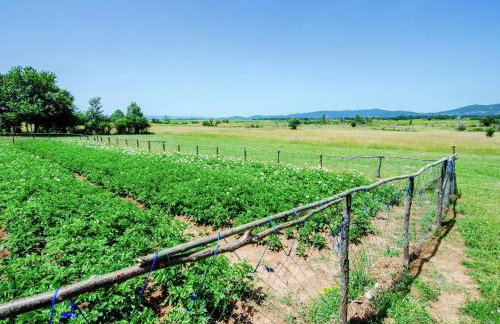 Cottage in Lovinac Near Paklenica Park - Foto 42