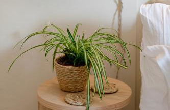 Flat in Arundel - Foto 36