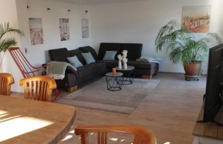 Großer Elefant - Foto 5