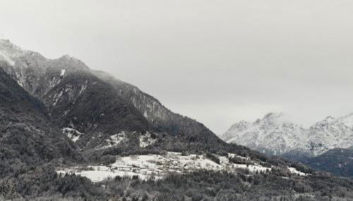 Casa Patty - Liariis of Ovaro CARNIA - Foto 5