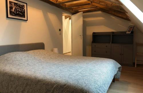 Haras de la Cour Gite 10 people - Photo 8