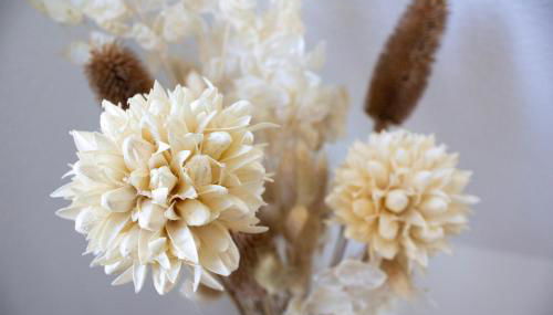 NOVA - See APT 22 I Phantasialand I Cologne I Bonn - Foto 5