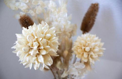 NOVA - See APT 22 I Phantasialand I Cologne I Bonn - Foto 5