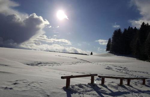 Ferienwohnung im Schwarzwald mit Garten - Foto 32
