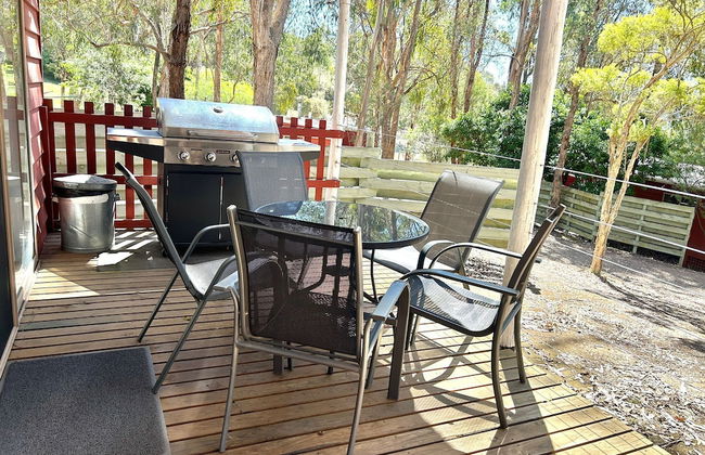 The Black Sparrow - Photo 41