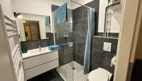 Le Salon Doré Apartment - Foto 5, towels, Shower